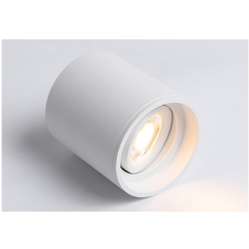 110v 220v Recessed Down Lights Indoor Light